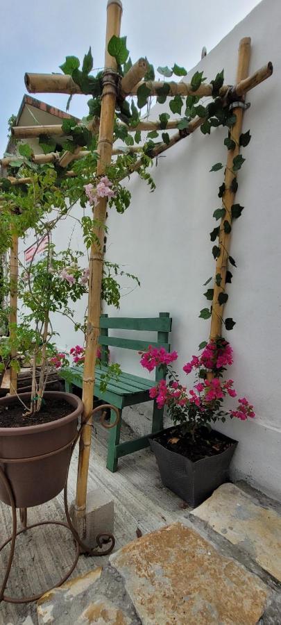 Aparthotel Dona Adelina House Ciudad Valles Zewnętrze zdjęcie